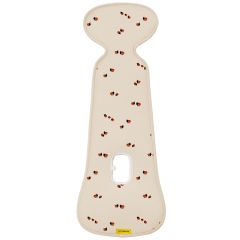 Assise Air Layer - groupe 1