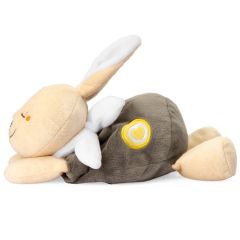 Peluche chauffante