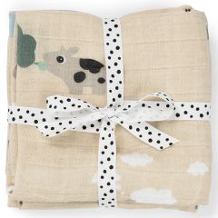 Lot de 2 langes 65 x 65 cm