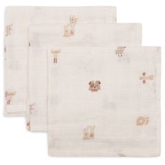 Lot de 3 serviettes coton 31 x 31 cm