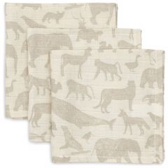 Lot de 3 serviettes coton 31 x 31 cm
