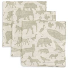 Lot de 3 serviettes coton 31 x 31 cm