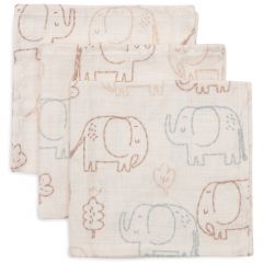 Lot de 3 serviettes coton 31 x 31 cm