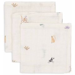 Lot de 3 serviettes coton 31 x 31 cm