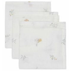 Lot de 3 serviettes coton 31 x 31 cm