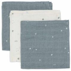 Lot de 3 serviettes coton 31 x 31 cm