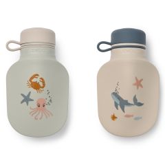 Bouteille à smoothie Lizzie 2-pack
