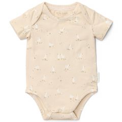 Body à manches courtes - Little Goose - taille 44