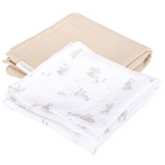 Lot de 2 langes - 70 x 70 cm