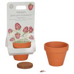 Pot de fleurs fraises