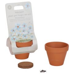 Pot de fleurs myosotis