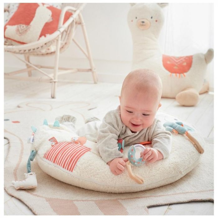 Cale Bebe D Activites Moris Sacha De Noukie S Cale Bebe D Activites Moris Sacha De Noukie S