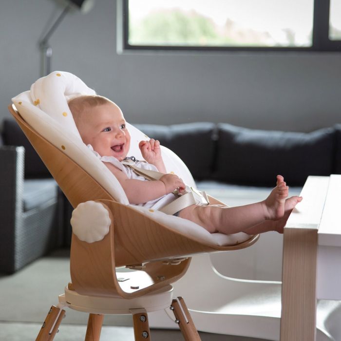 Transat Newborn Pour Evolu 2 Evolu One 80 De Childhome