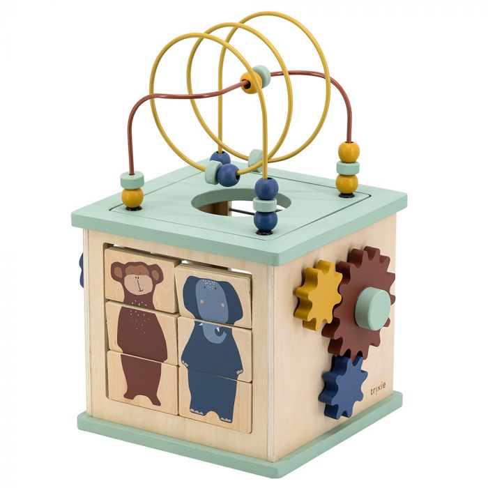 Cube d activites 5 en 1 en bois de Trixie