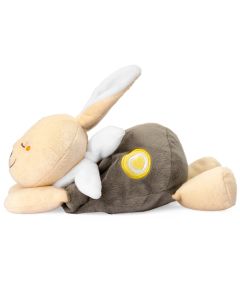 Peluche chauffante