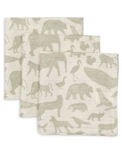 Lot de 3 serviettes coton 31 x 31 cm