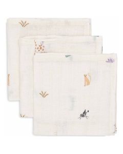 Lot de 3 serviettes coton 31 x 31 cm