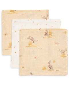 Lot de 3 serviettes coton 31 x 31 cm