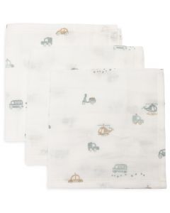 Lot de 3 serviettes coton 31 x 31 cm