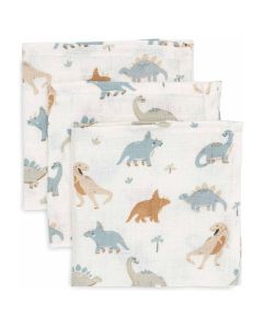 Lot de 3 serviettes coton 31 x 31 cm