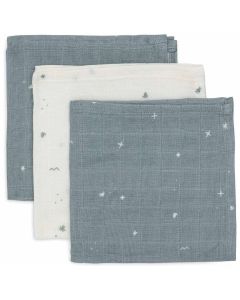 Lot de 3 serviettes coton 31 x 31 cm