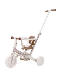 Tricycle 4-en-1