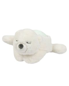 Veilleuse projecteur