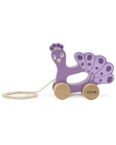 Jouet à tirer en bois