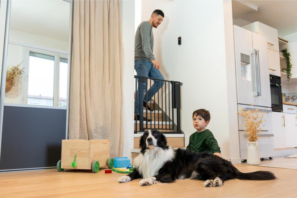 garçon et chien devant barrière safe&pass, papa derrière