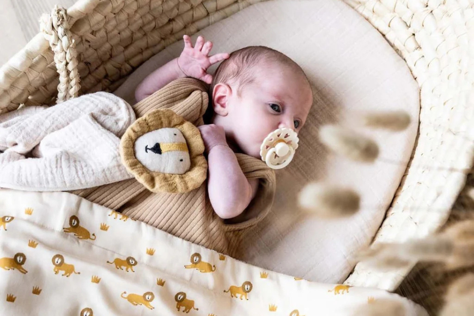 bébé dans berceau avec un doudou et une sucette