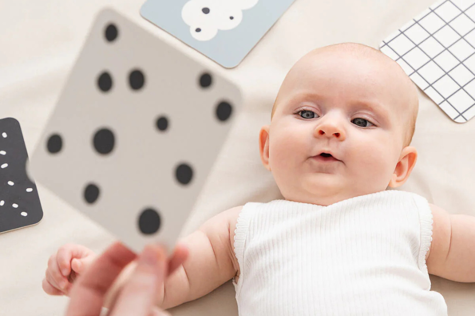 bébé qui regarde une carte en noir et blanc