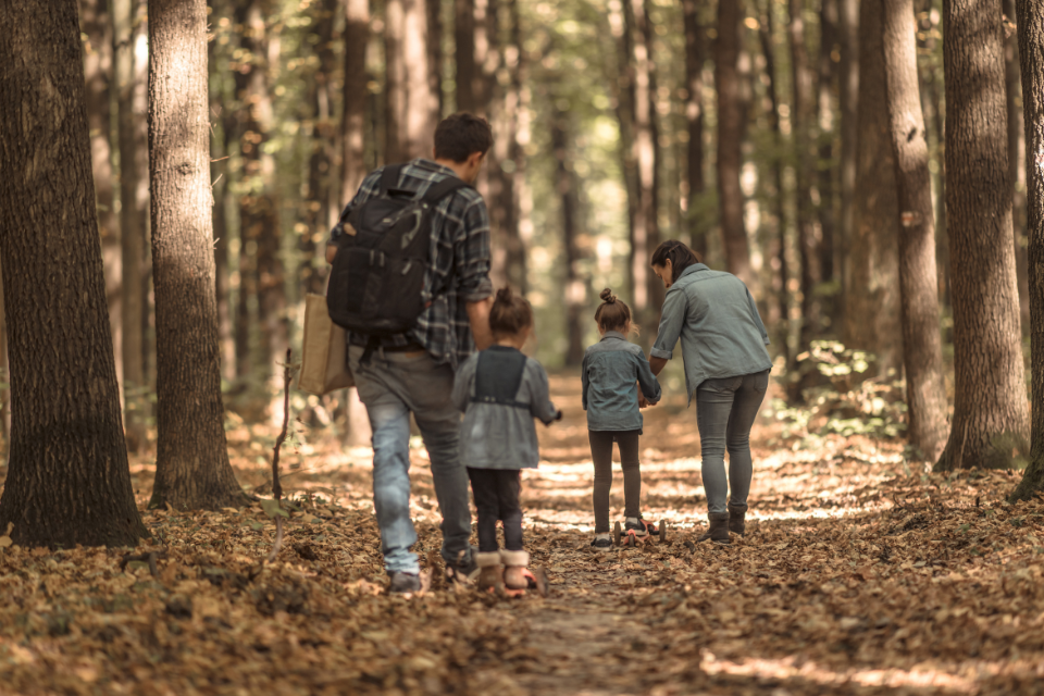 famille qui se promène en forêt